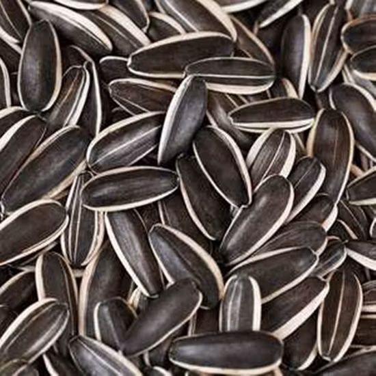 Raw Material Sunflower Seeds with ISO, Halal, Kosher Certificate
