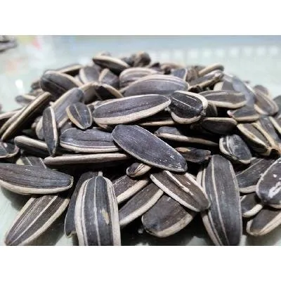 Raw Material Sunflower Seeds with ISO, Halal, Kosher Certificate