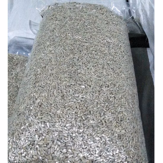 Hochwertige weiße Sonnenblumenkerne/-kerne aus der Türkei, Großhandelsprodukt